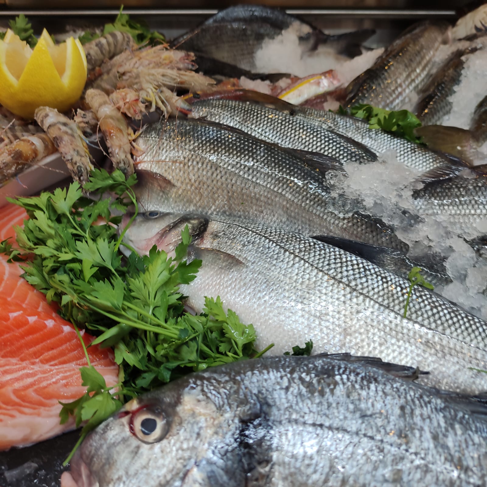 WhatsApp Image 2021-08-19 at 1.53.12 PM (1).jpeg